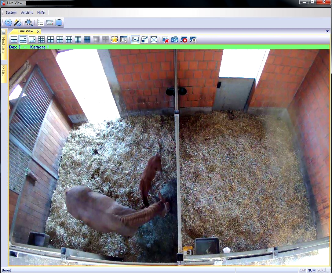 Kamera-Pferdestall-Box-3-2017