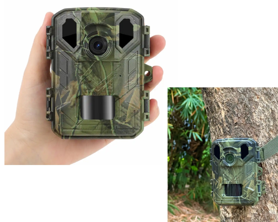 Wildkamera mit 8MP Bildsensor Nachtsicht Micro-SD Batteriebetrieb WCT