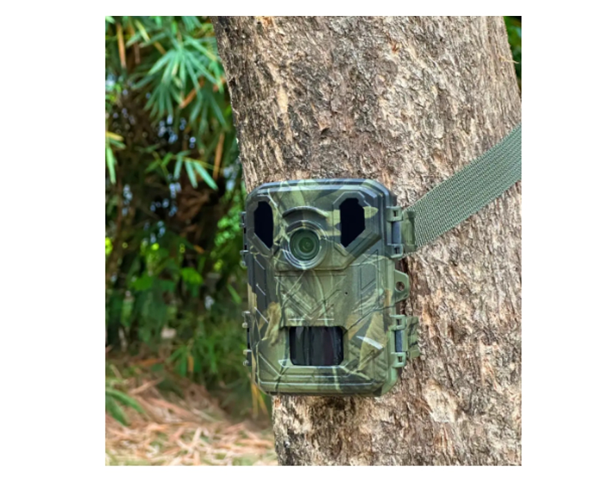 Wildkamera mit 8MP Bildsensor Nachtsicht Micro-SD Batteriebetrieb WCT